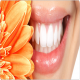 Stomatološke ordinacije firme srbije 